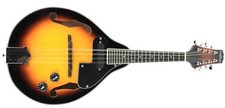 Freshman M1E Chicago Sunburst