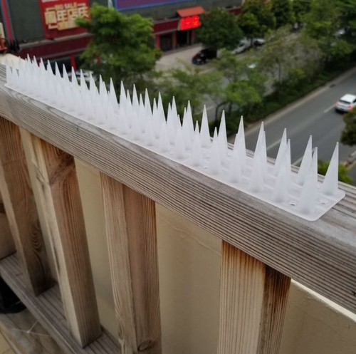 Pcs plastic anti bird spike - 12,