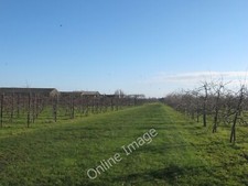 Photo 12x8 Stour Valley Walk