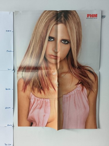 Fhm magazine poster sarah - magazine,