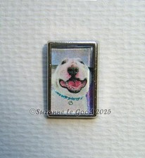 English Bull terrier dog art