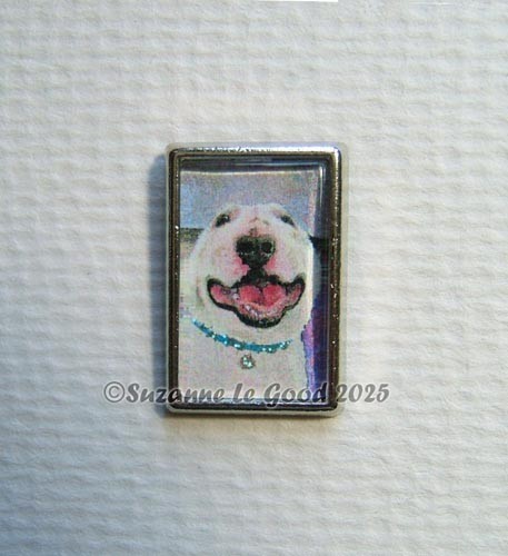 English bull terrier dog - terrier,