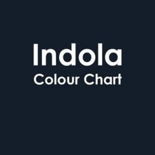 Indola Color Style Mousse