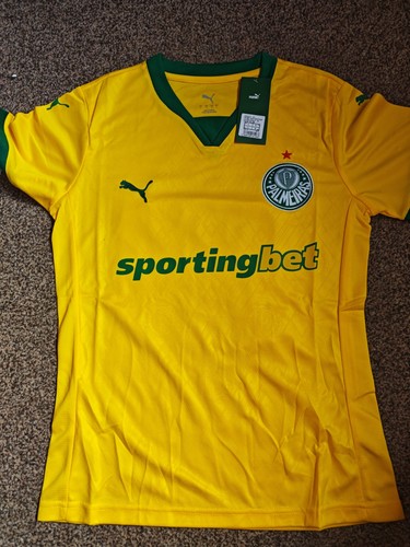 Palmeiras 3rd third jersey - 3rd,