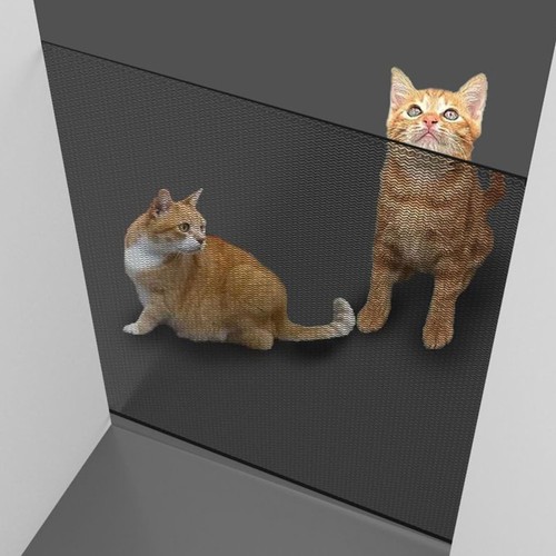Dog retractable pet - retractable, gate