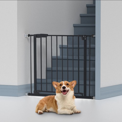 Baby kids safety - kids, dog
