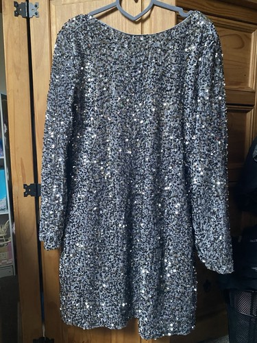 Bnwt silver sequin dress - silver, size