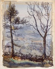 TREES IN HILLSIDE LANDSCAPE -