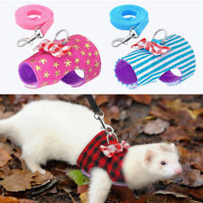 Harness Guinea Pig Leash Rope