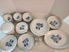 43  piece VTG Pfaltzgraff