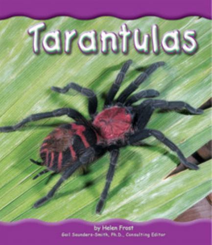 Tarantulas frost helen - tarantulas, frost,