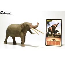 Eofauna Konobelodon atticus -