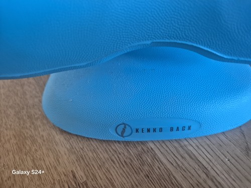 Kenko back massage cushion - back,