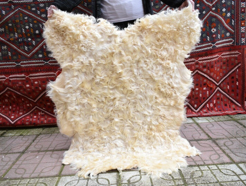 Angora goat leather goatskin - leather,