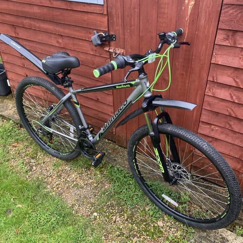 Mountain bike - mountain,