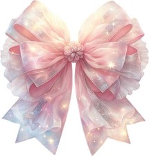 Valentine's Day Coquette Bow