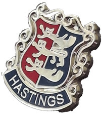 Hastings Town Small Pin Badge