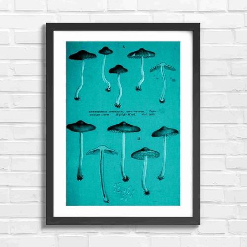 Vintage botanical mushroom - vintage,