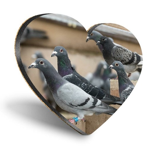 Heart mdf coasters pigeon - -,
