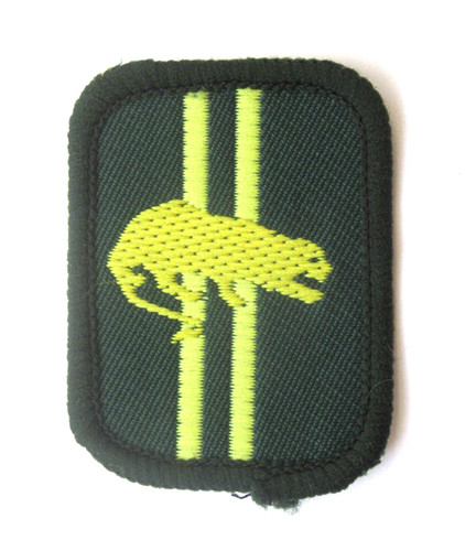 Vintage scout patrol - patrol, badge