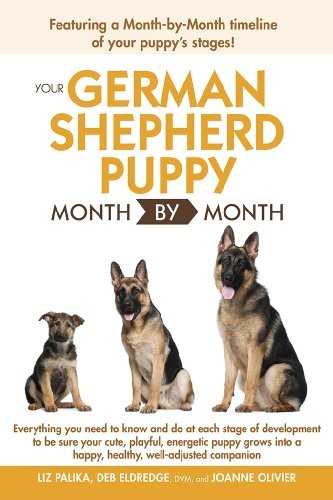 Your german shepherd - shepherd, puppy