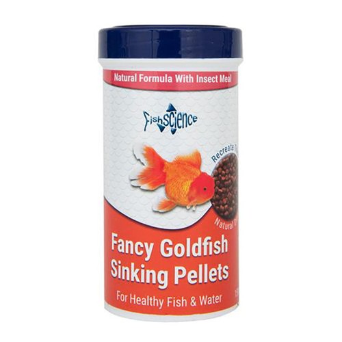 Fish science fancy - science, goldfish