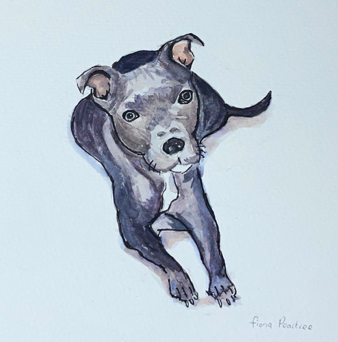 Original painting staffy - original,