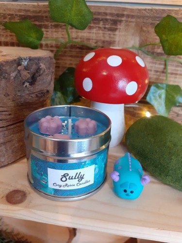Sully pixar monsters inc - sully,