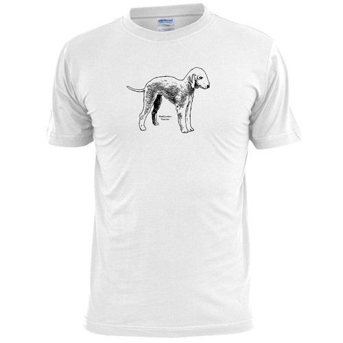 Mens bedlington terrier - terrier, dog
