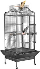 Rolling african grey - african, parrot