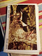 Pt3 Trade Card Dandy Gum Wild