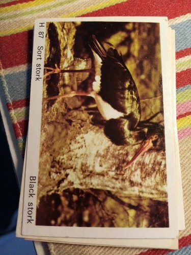 Pt3 trade card - card, gum