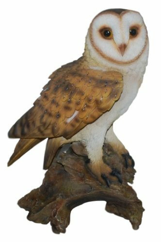 Vivid arts barn owl - vivid,