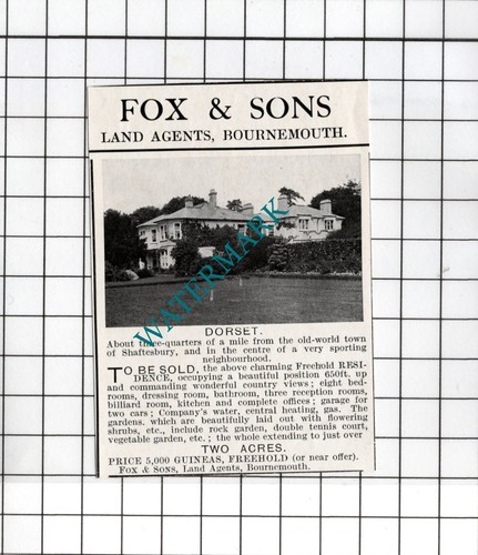 Shaftesbury dorset 1925 - dorset,