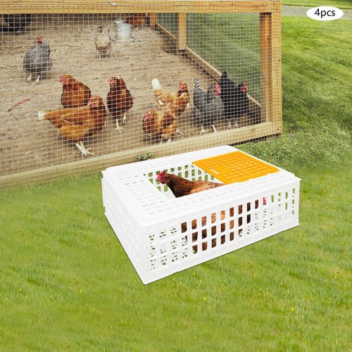 Pcs plastic poultry - pcs,