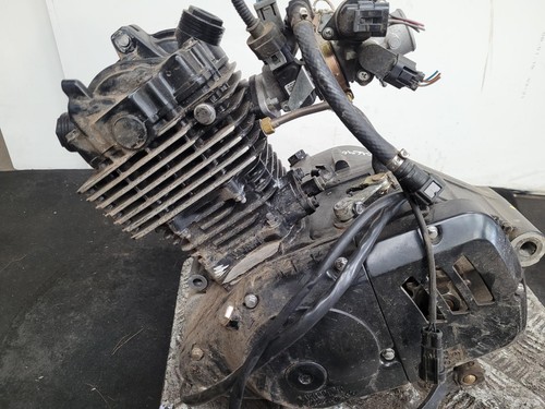 Mutt mastiff 125 k157fm - 125, engine