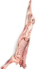 Plump FROZEN HALF  LAMB  HEALTHY LEAN MEAT 