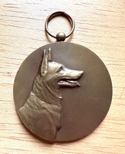 Brussels Dog show Medal Belgian Shepherd Or GSD