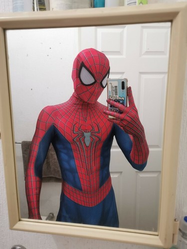 The amazing spider - the, spider-man