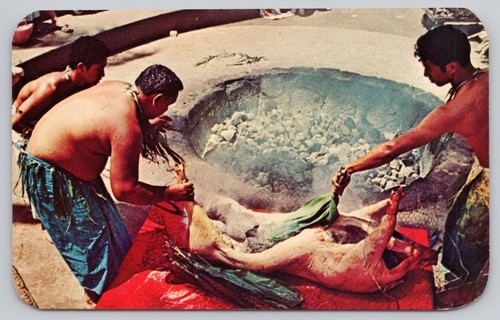 Vintage hawaii luau pig roast - luau,