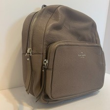 Kate Spade New York Taupe Mini
