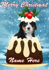 gfacc 16 Bernese Mountain Pup