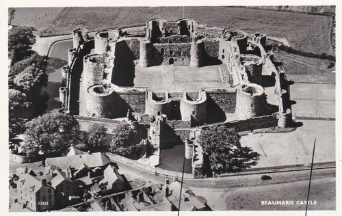 Beaumaris castle from the air - castle,
