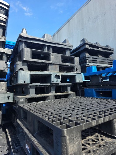 Plastic pallets 1200 x 1000 - plastic,
