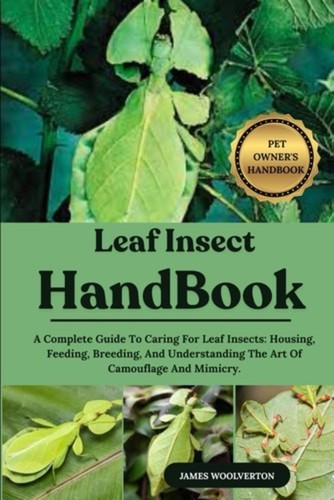 Leaf insect handbook - insect,