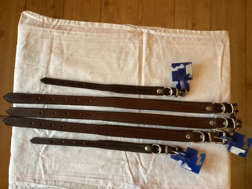 Five leather dog collars job - dog,