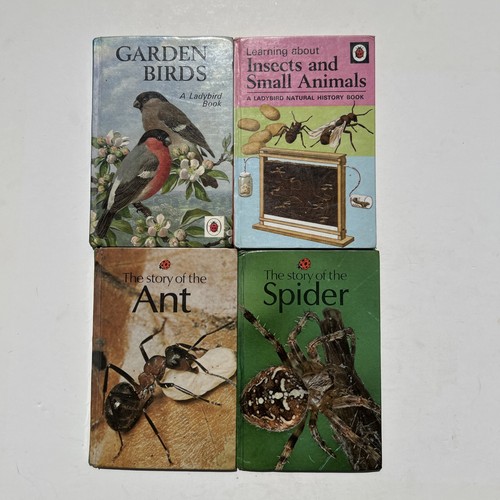 Job lot rare ladybird - lot,