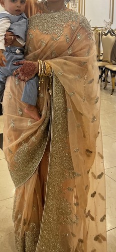 Heavy bridal saree - heavy,