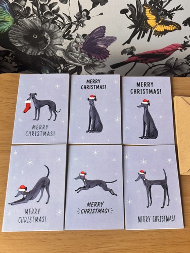 Pack greyhound whippet - 6,
