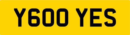 Y600 yes private reg number - yes,